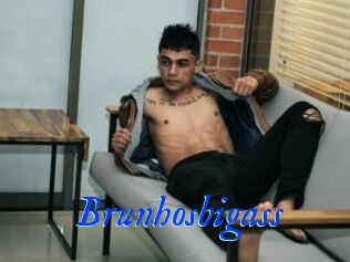 Brunhosbigass