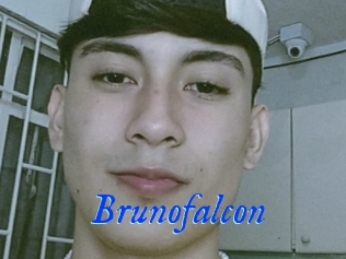 Brunofalcon