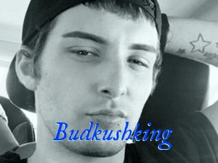 Budkushking