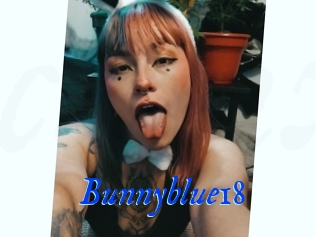 Bunnyblue18