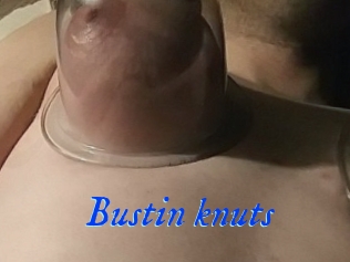 Bustin_knuts