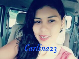 Carlina23