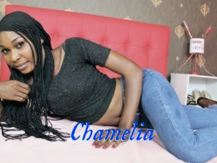 Chamelia