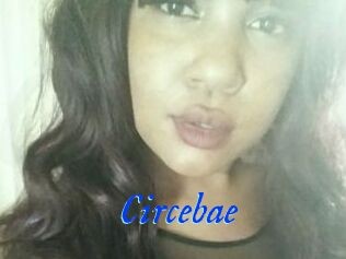 Circebae