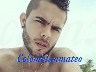 Colombian_mateo