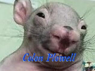 Colon_Plowell