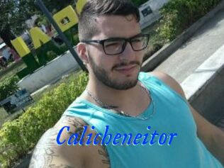 Calicheneitor