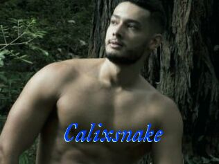 Calixsnake