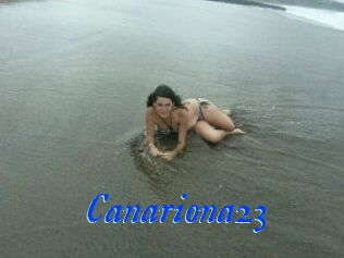 Canariona23