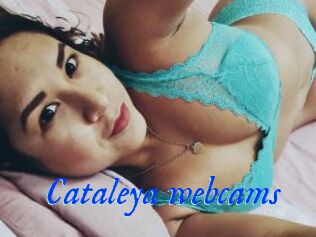 Cataleya_webcams