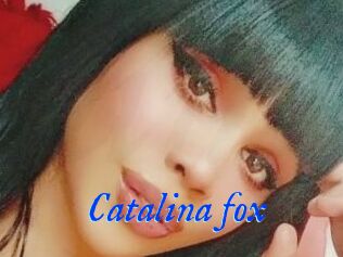 Catalina_fox