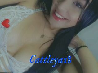 Cattleya18