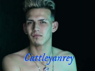 Cattleyanrey