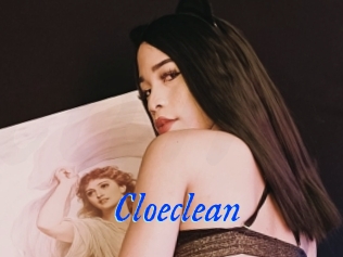 Cloeclean