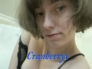 Cranberry1