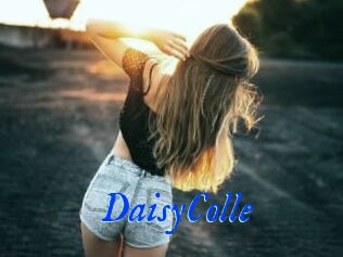 DaisyColle