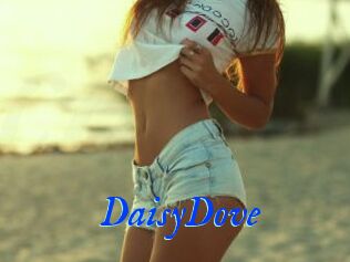 DaisyDove