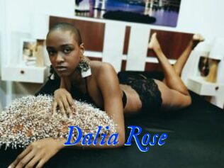 Dalia_Rose