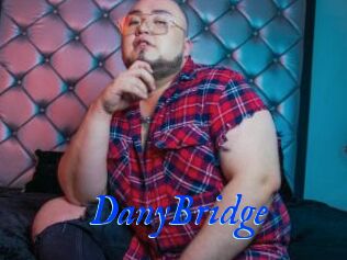 DanyBridge