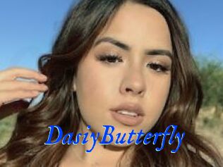 DasiyButterfly