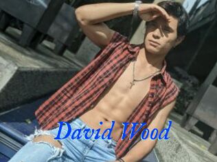 David_Wood