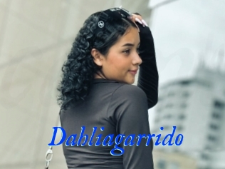 Dahliagarrido