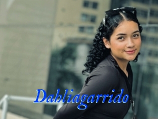 Dahliagarrido