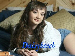 Daisybeech