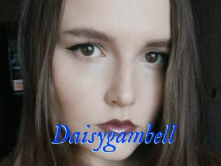 Daisygambell