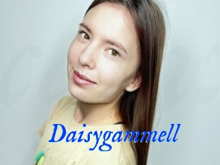 Daisygammell