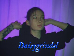 Daisygrindel