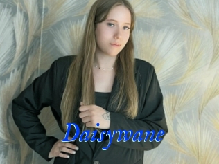 Daisywane