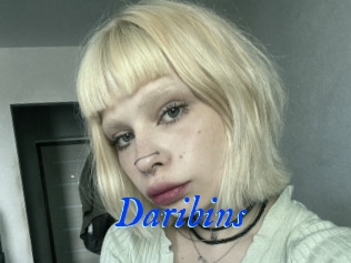 Daribins