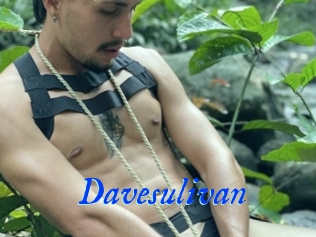 Davesulivan