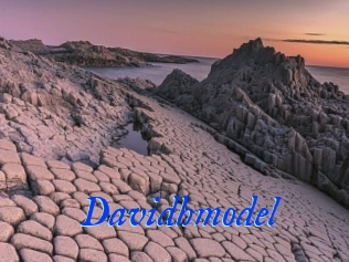 Davidhmodel