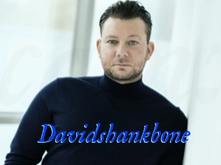 Davidshankbone