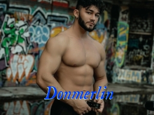 Donmerlin