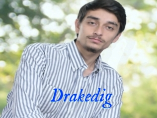 Drakedig