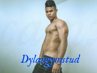 Dylangymstud