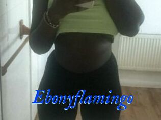 Ebony_flamingo