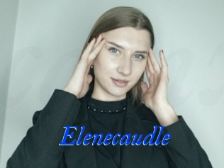 Elenecaudle