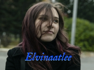 Elvinaatlee