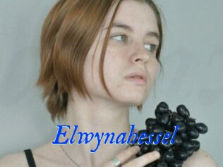 Elwynahessel