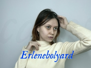 Erlenebolyard