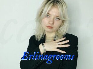 Erlinagrooms