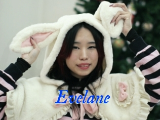 Evelane