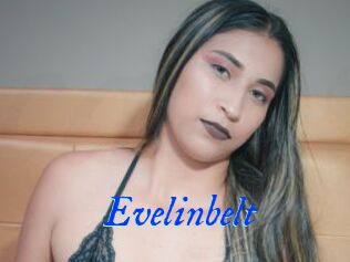 Evelinbelt