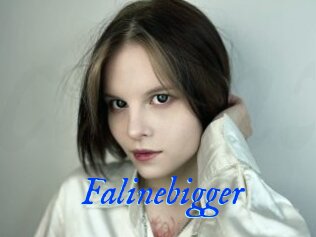 Falinebigger