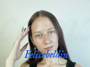 Felicebeldin