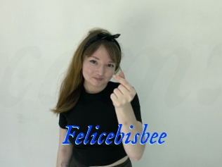 Felicebisbee